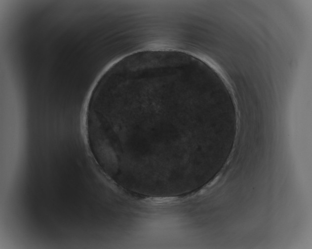 X0000100750864200806261542