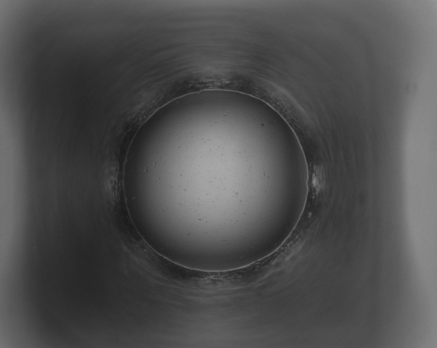 X0000100750867200806261542