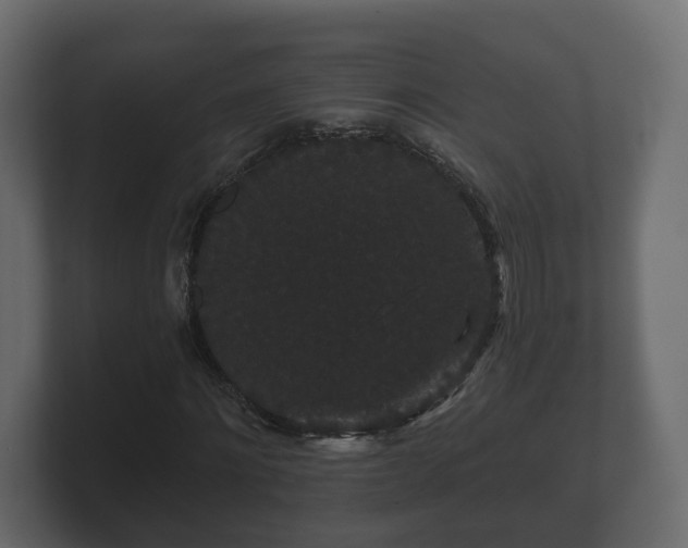 X0000100750868200806261542