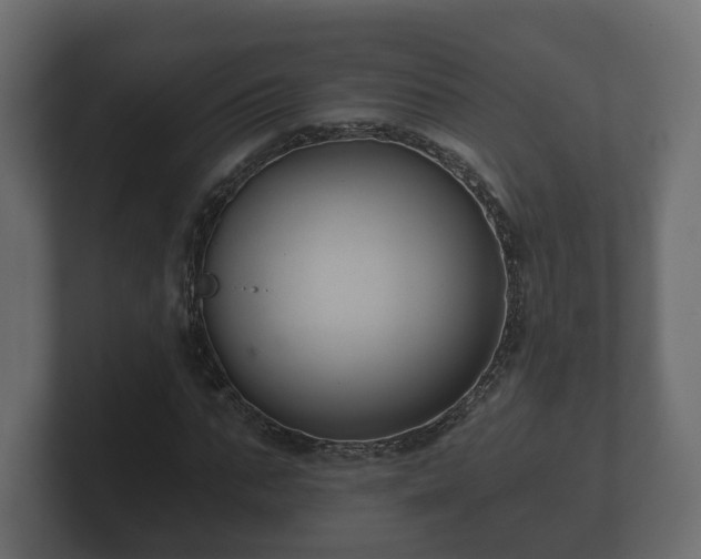 X0000100750871200806261542