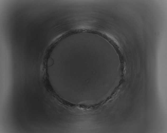 X0000100750872200806261542