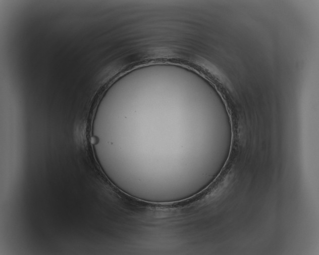 X0000100750873200806261542