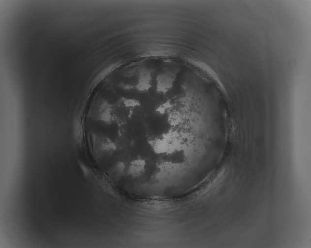 X0000100750874200806261542