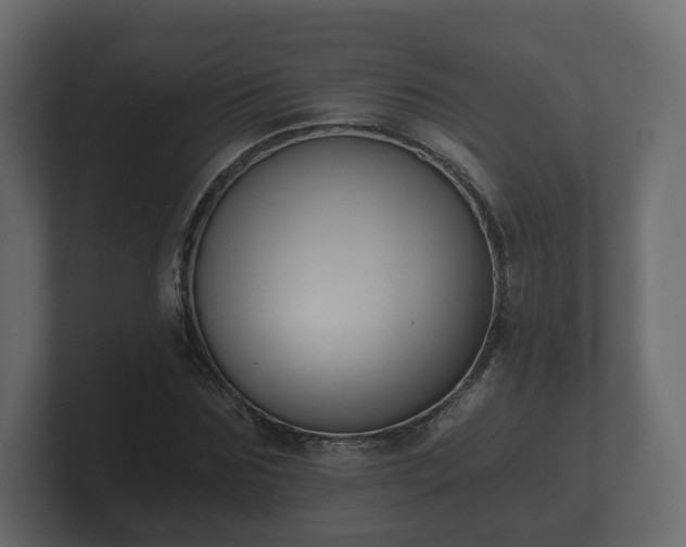 X0000100750875200806261542