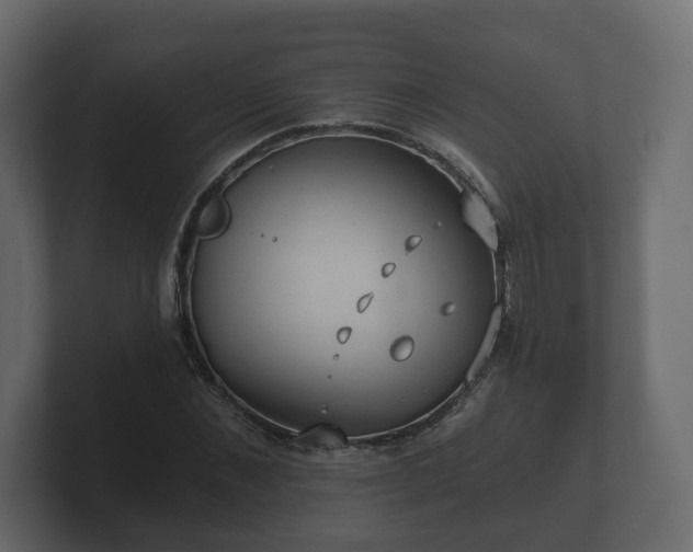 X0000100750876200806261542