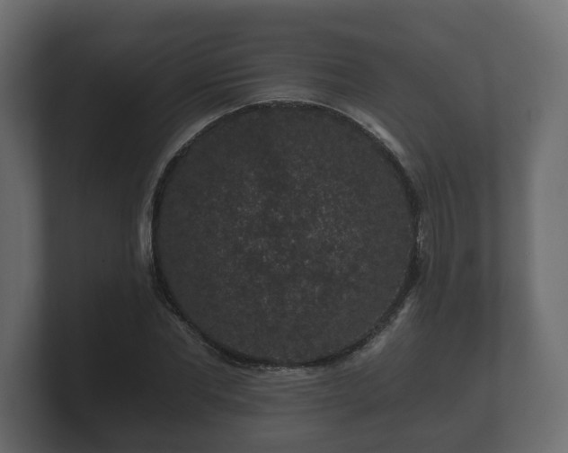 X0000100750877200806261542