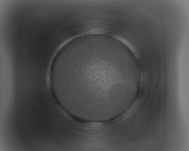 X0000100750878200806261541