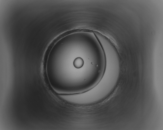 X0000100750880200806261541