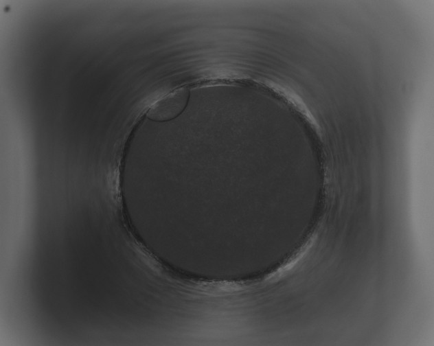 X0000100750881200806261541