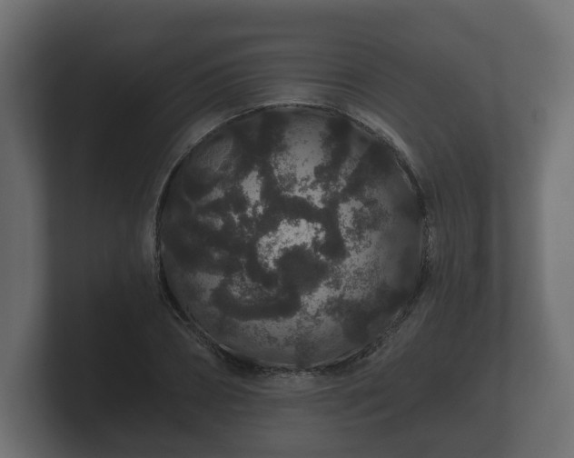 X0000100750882200806261541