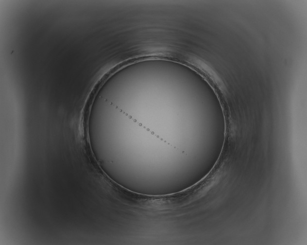 X0000100750883200806261541