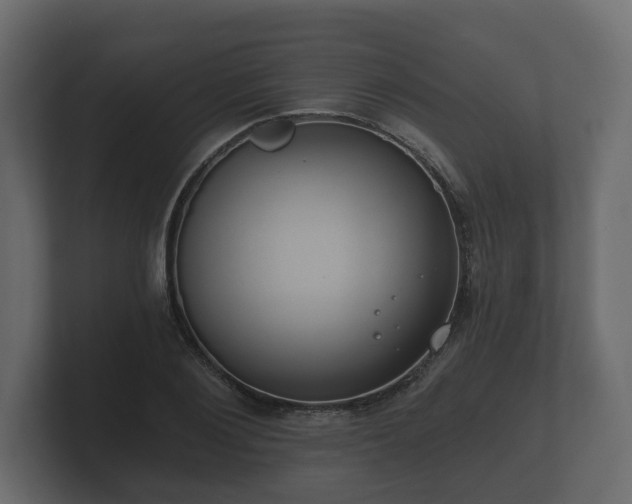 X0000100750884200806261541