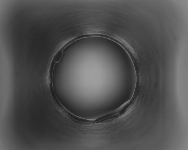 X0000100750885200806261541