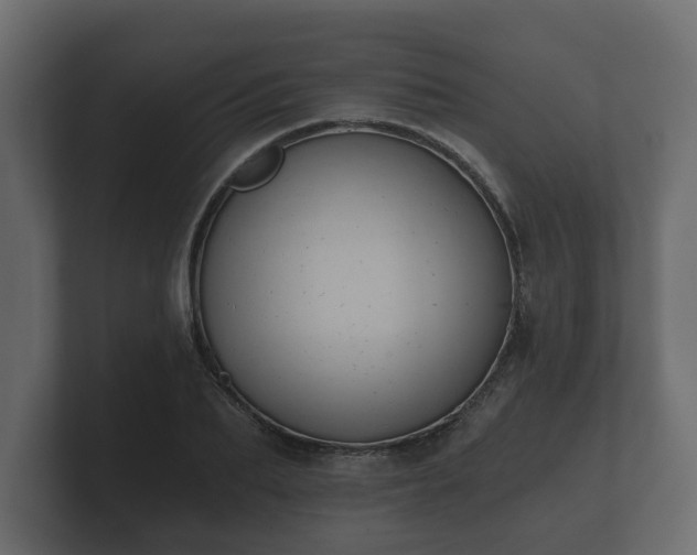 X0000100750887200806261541