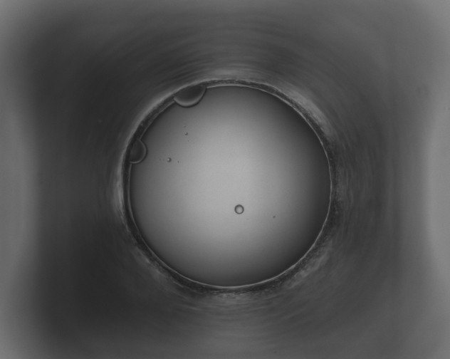 X0000100750888200806261541