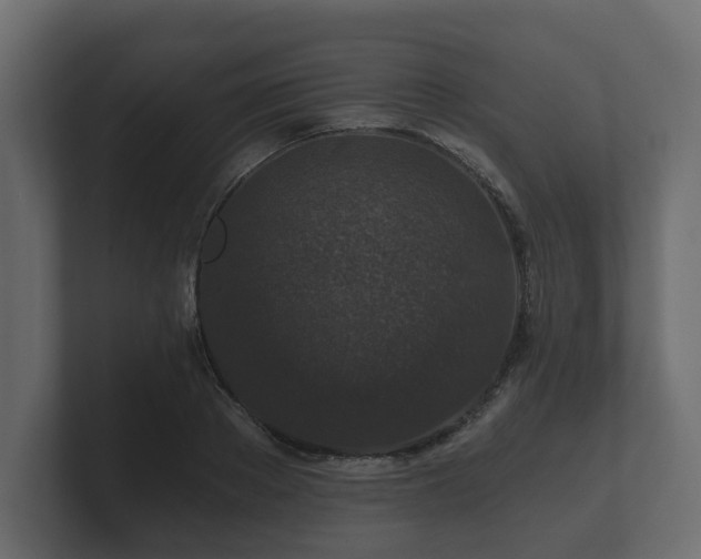 X0000100750889200806261541