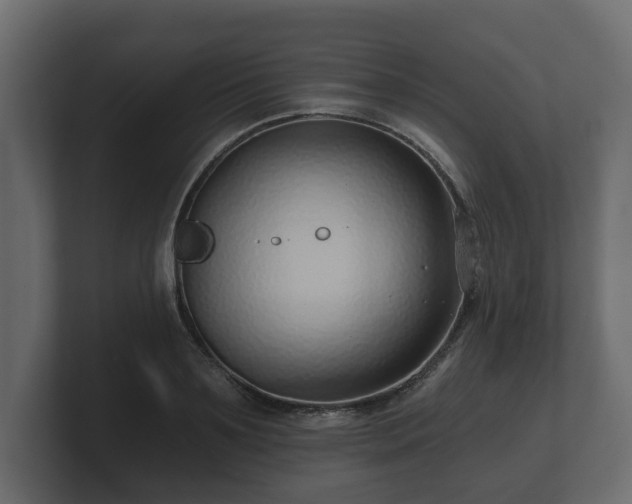 X0000100750891200806261541