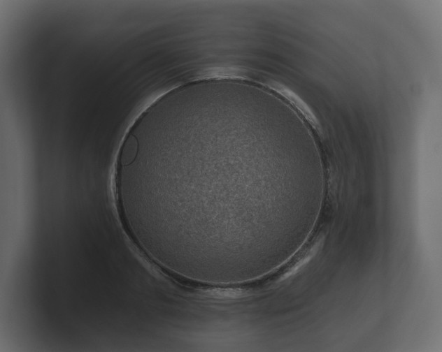 X0000100750893200806261541