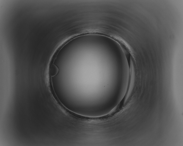 X0000100750894200806261541