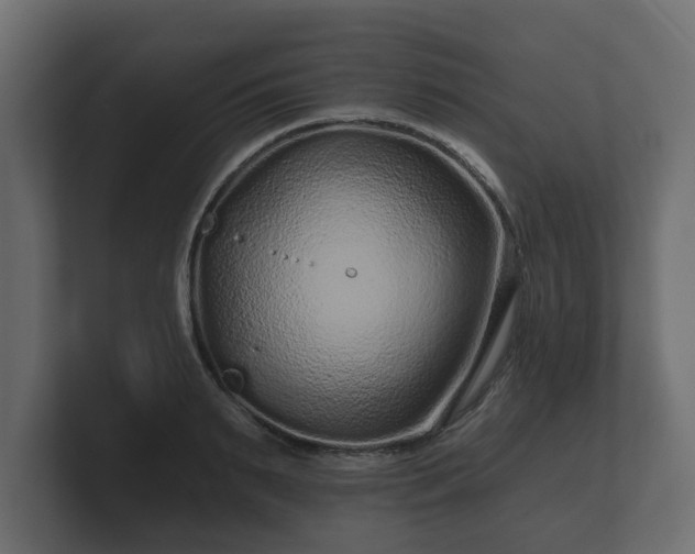 X0000100750895200806261541