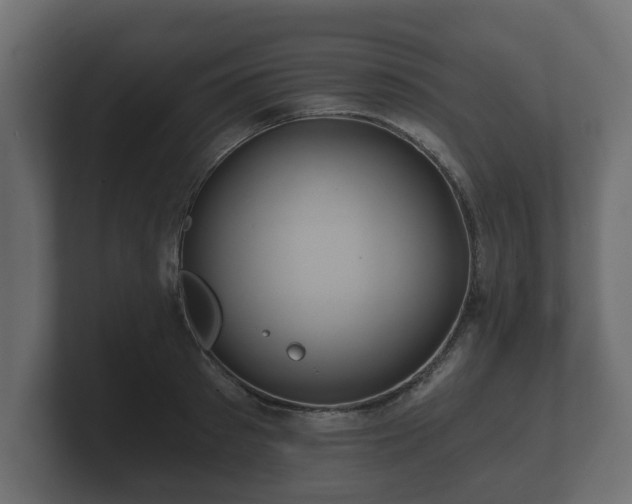 X0000100750897200806261541