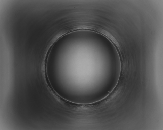 X0000100750898200806261541