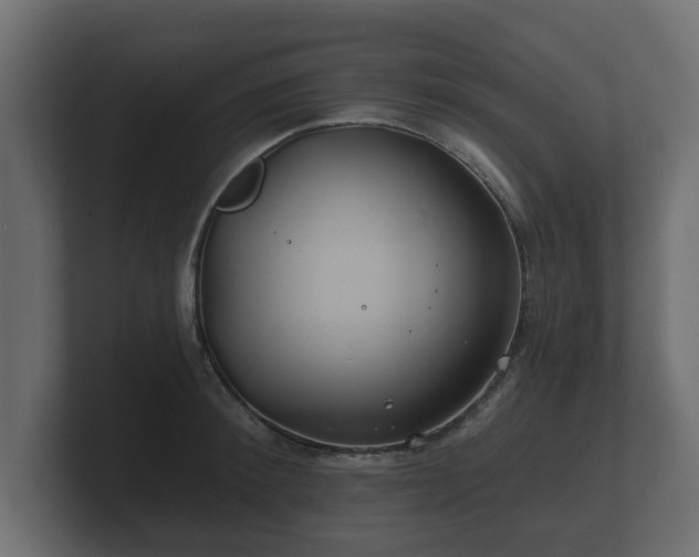 X0000100750900200806261541