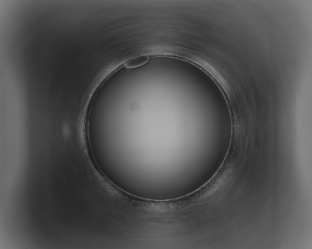 X0000100750901200806261541