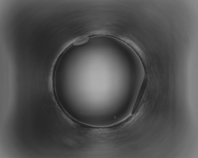 X0000100750902200806261541