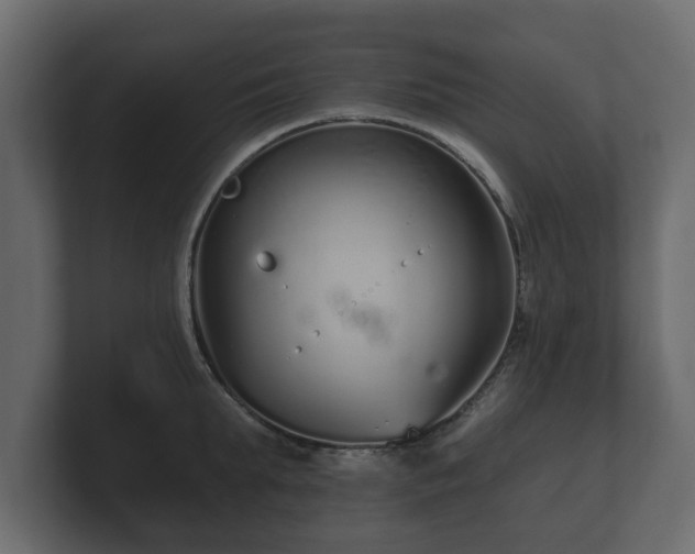 X0000100750903200806261541