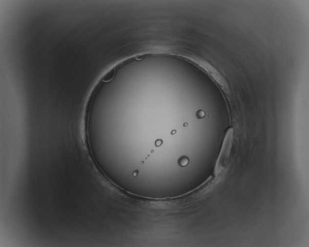 X0000100750904200806261541