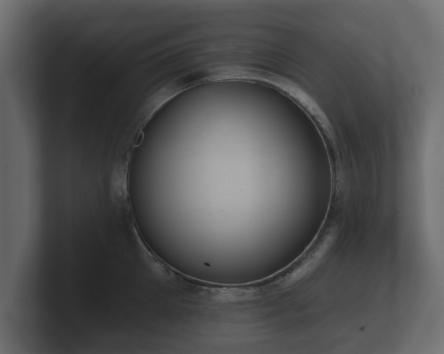 X0000100750905200806261541