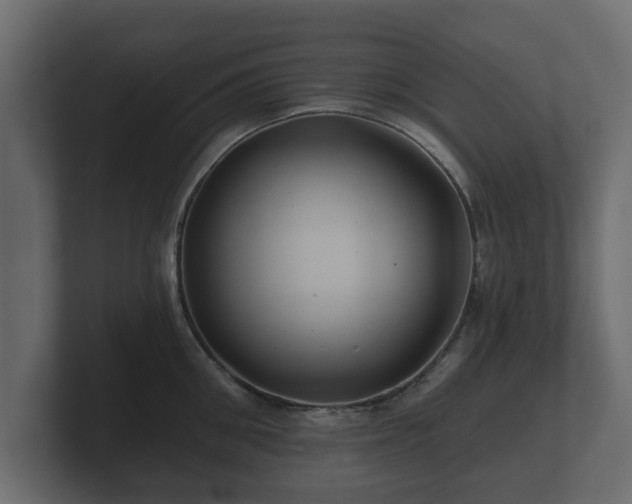 X0000100750906200806261541