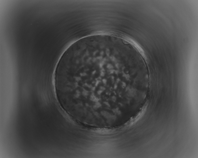 X0000100750907200806261541