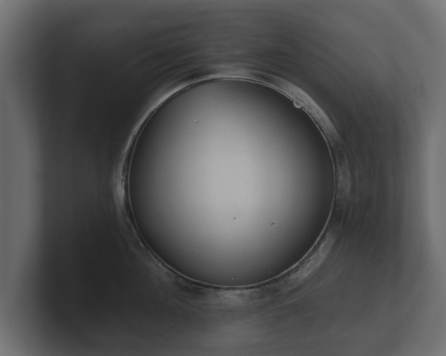 X0000100750908200806261541