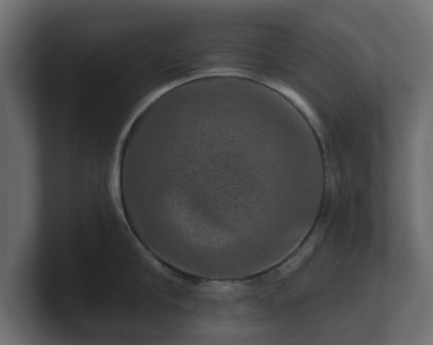 X0000100750910200806261541