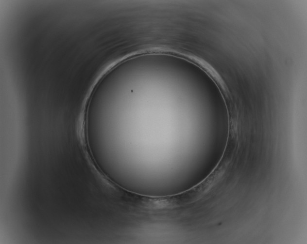 X0000100750911200806261541