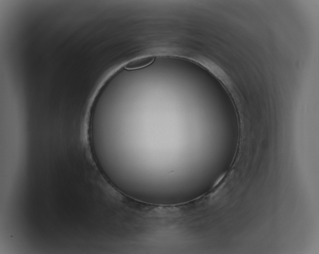 X0000100750912200806261541