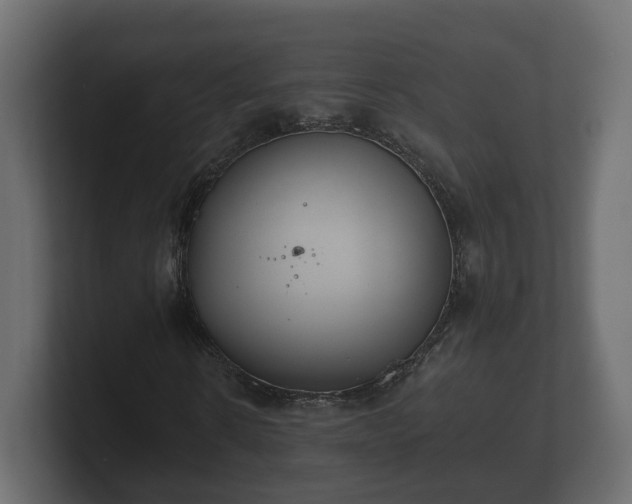 X0000100750914200806261540