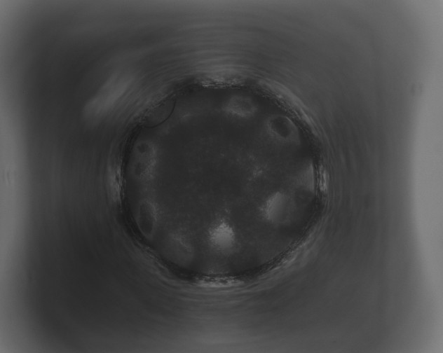 X0000100750915200806261540