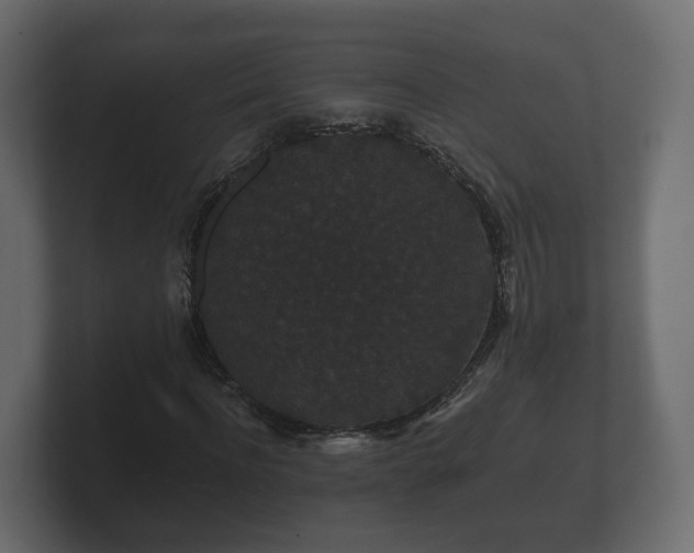 X0000100750916200806261540