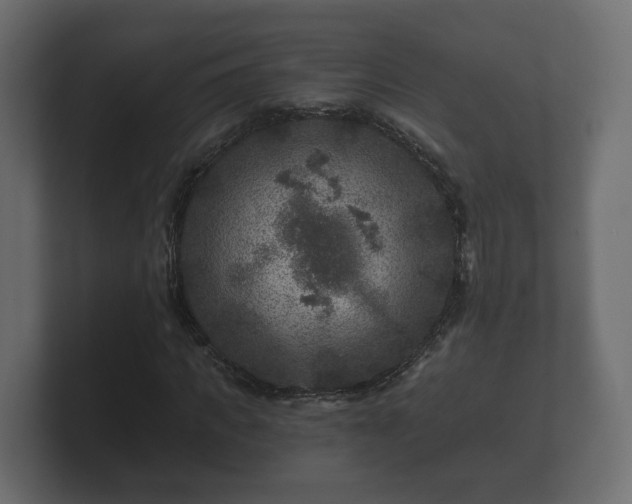 X0000100750917200806261540