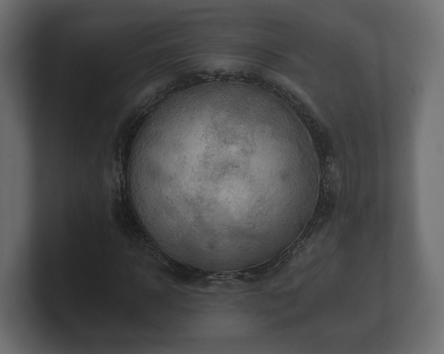 X0000100750918200806261540