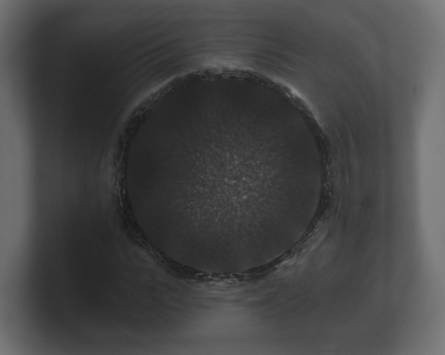 X0000100750919200806261540