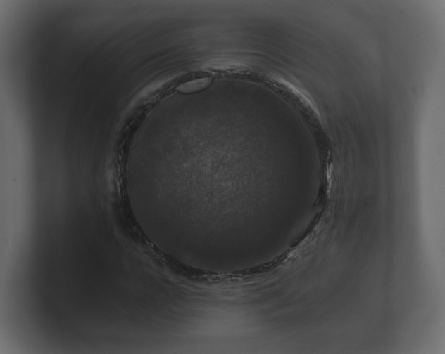 X0000100750920200806261540