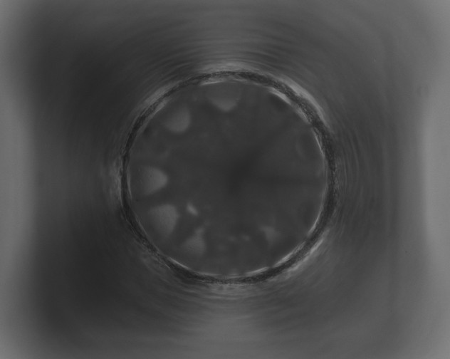 X0000100750921200806261541