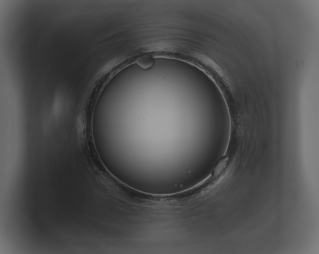 X0000100750922200806261541