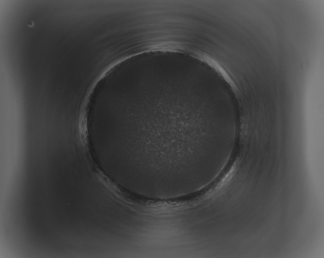 X0000100750923200806261541