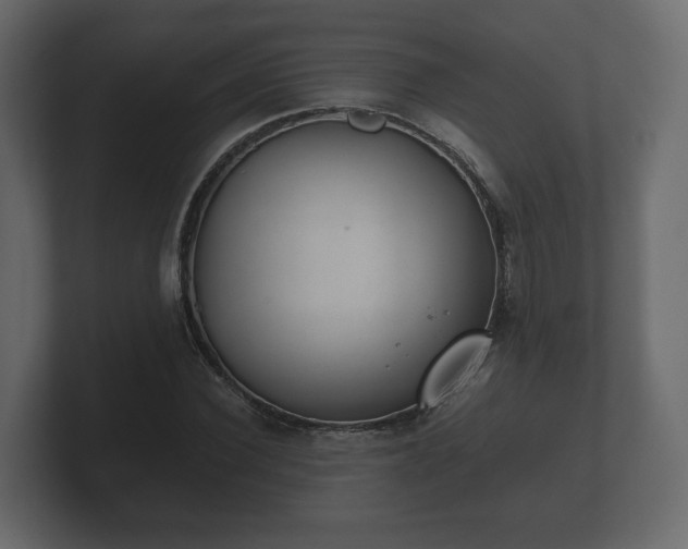 X0000100750924200806261541