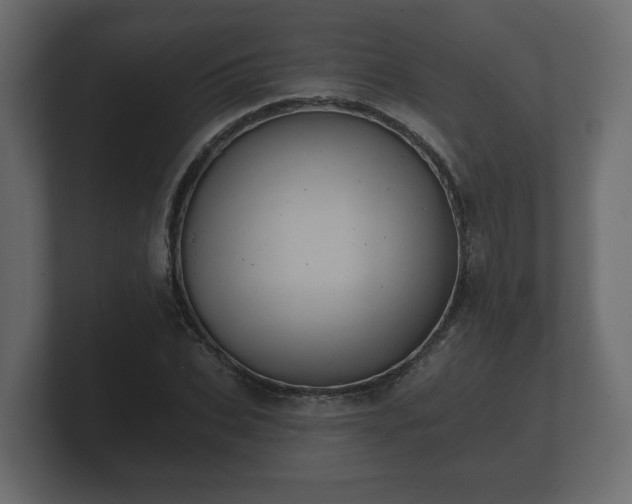 X0000100750927200806261541